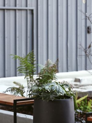Proyecto Diaz Coffee by null