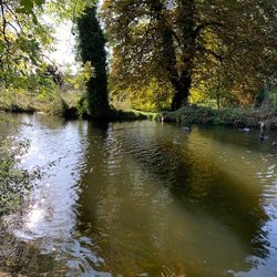 Clare Castle Country Park - Shady spot along the New Cut