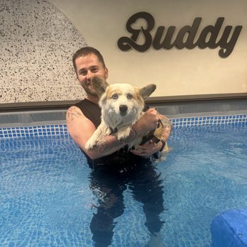Buddy - Pet Services Near Me - Los Angeles, California Buddy - Pet Services Near Me - Los Angeles, California