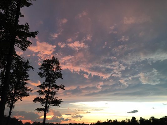 Cherry Springs State Park by null