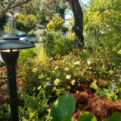 Best Yard Grading Near Me May 2021 Find Nearby Yard Grading Reviews Yelp