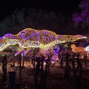 River Of Lights - Festivals Near Me - Albuquerque, New Mexico