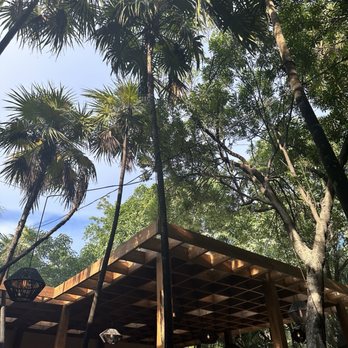 ARCA - Jungle Ambiance - Cocktail Bars Near Me - Tulum, ROO