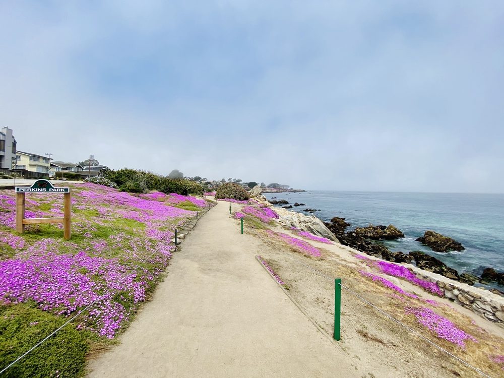 PERKINS PARK Updated September 2024 93 Photos & 10 Reviews 946 Ocean View Blvd, Pacific