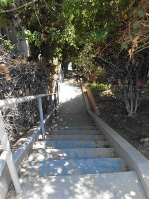 Music Box Stairs by null