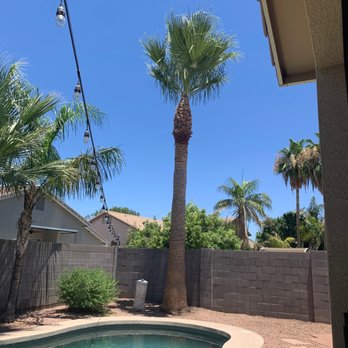 Next Level Tree Service - Tree Services Near Me - Glendale, Arizona