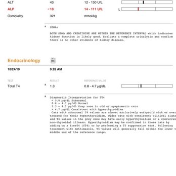 Boston Veterinary Clinic - T4 total test - Veterinarians Near Me - Boston, Massachusetts