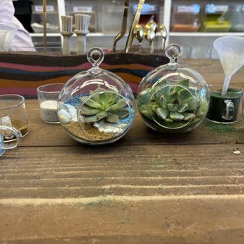 Jade & Clover - Terrarium succulent decorating with sand art - Nurseries & Gardening Near Me - Phoenix, Arizona