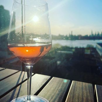 Laser Wolf - Judean Hills Blanc, Tzora Vineyards, 2020 Israel - Middle Eastern Near Me - Brooklyn, New York