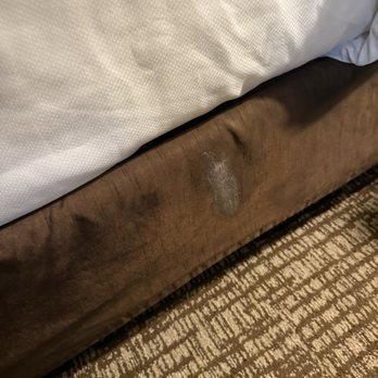 Comfort - Very suspicious stains on the bed skirt of one of the bed. - Hotels Near Me - Paducah, Kentucky
