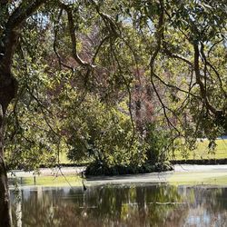 Lake Midget Park