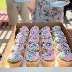 Babycakes - Gender Reveal Cupcakes