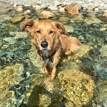 Golden Ears Provincial Park - Clear water to cool down on a hot day - Boating Near Me
