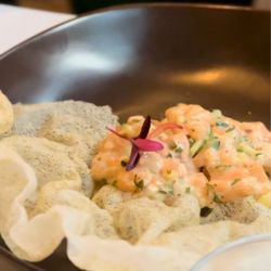 Salmon ceviche