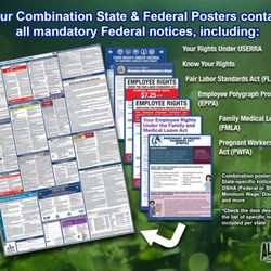 All In One Poster Company