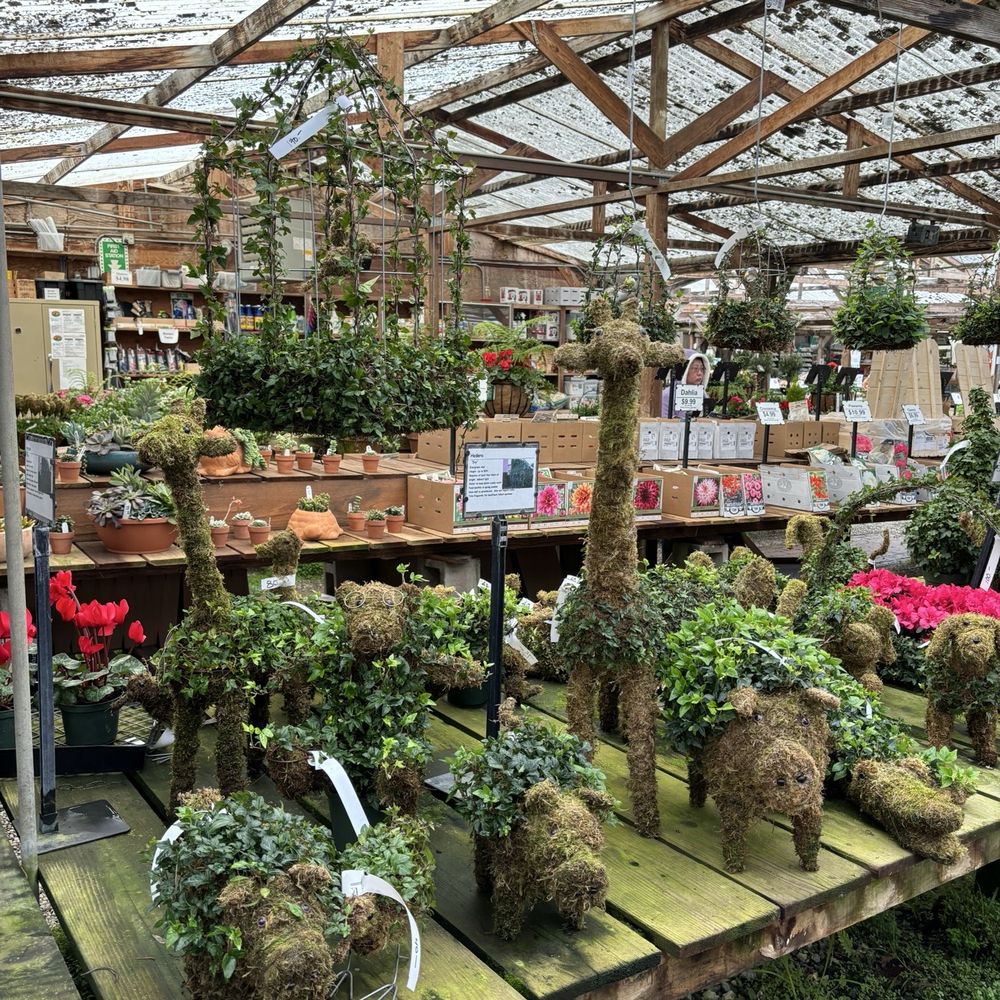 Half Moon Bay Nursery - Nurseries & Gardening Near Me - Half Moon Bay, California