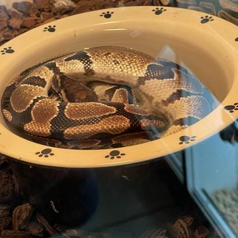 Pet Palace - Pet Stores Near Me - Covina, California