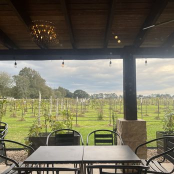 Ceccoli Vineyards - Wineries Near Me - Winnie, Texas Ceccoli Vineyards - Wineries Near Me - Winnie, Texas