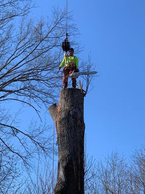 Quality of service is not what we offer, it is the client who receives it because we have a fully classified team.🌲🍂 - Quality of service is not what we offer, it is the client who receives it because we have a fully classified team.🌲🍂