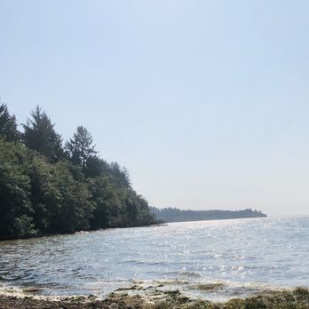 Bruceport County Park - Parks Near Me - South Bend, Washington Bruceport County Park - Parks Near Me - South Bend, Washington