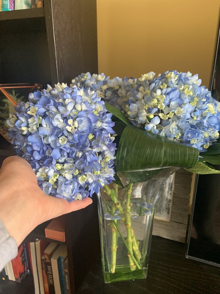 GROWER DIRECT FRESH CUT FLOWERS Updated July 2024 11 Photos 8736