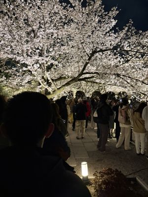 To-ji Temple by null