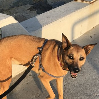 Chula Vista Bayside Park - Cako Approves! - Parks Near Me - Chula Vista, California Chula Vista Bayside Park - Cako Approves! - Parks Near Me - Chula Vista, California