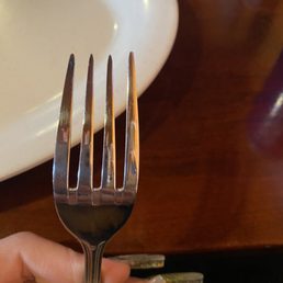 a person holding a fork and knife