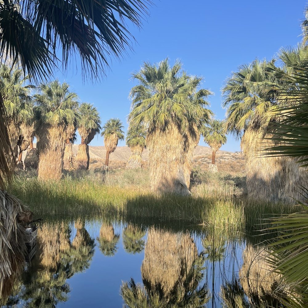 Oasis on the McCallum trail. Oasis on the McCallum trail.