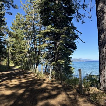 Pine Nut Ebike Rentals - Bike Rentals Near Me - South Lake Tahoe, California