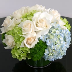 Showcase Flowers