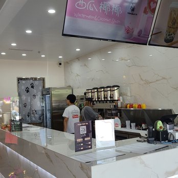 Sugar Paws Tea - Counter - Bubble Tea Near Me - Johns Creek, Georgia Sugar Paws Tea - Counter - Bubble Tea Near Me - Johns Creek, Georgia