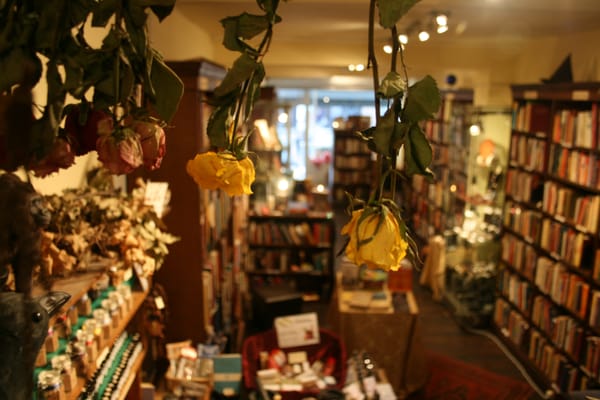 Photo of Treadwell's - London, XGL, GB. Books, flowers and our lovely familiar