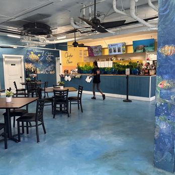 Hungry Honu - Cafes Near Me - Kailua-Kona, Hawaii Hungry Honu - Cafes Near Me - Kailua-Kona, Hawaii