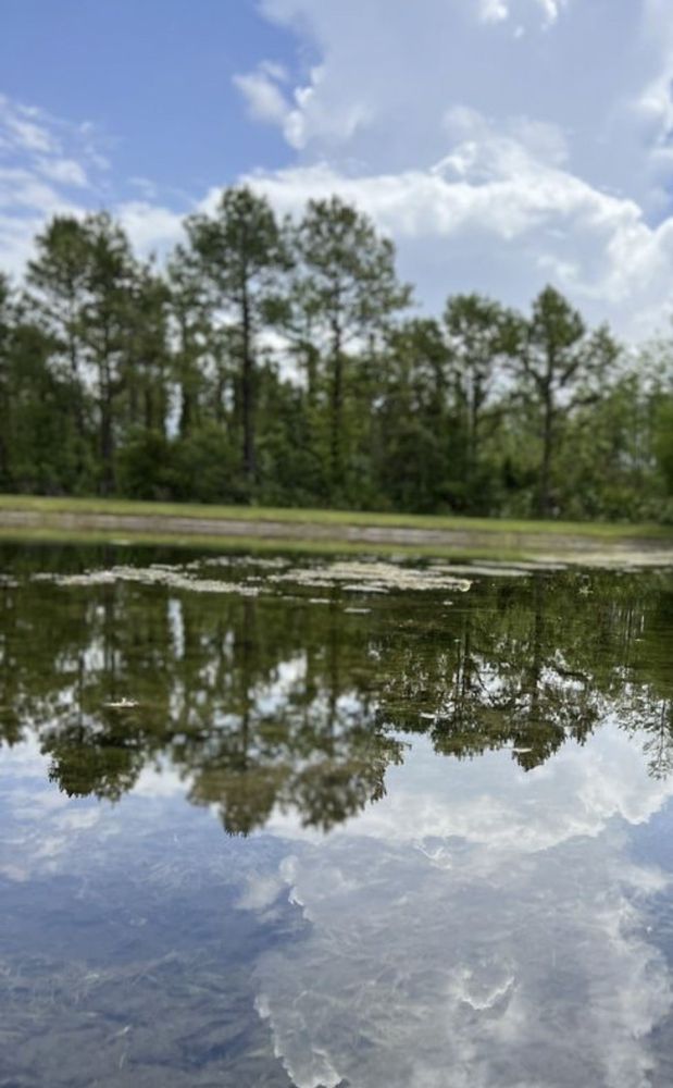 Tanja King Memorial Park Image