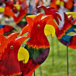 Travemünder Woche - Kunst und Krempel zur Travemünder Woche (01/2017)