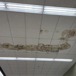 Ceiling above the freezer section (taken on 7/18/2021 around 7 am)