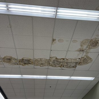 Haggen - Ceiling above the freezer section (taken on 7/18/2021 around 7 am) - Grocery Near Me - Burlington, Washington