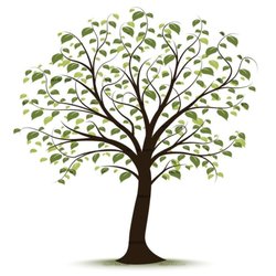 Cartrette's Tree Service and Yard Work