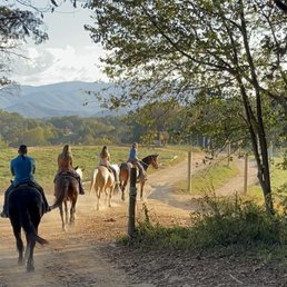 JAYELL RANCH - Updated February 2026 - 401 Photos & 349 Reviews - 1131 ...