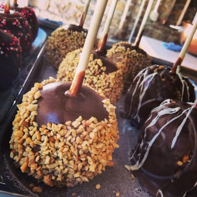 Hazel Hill Chocolate by null