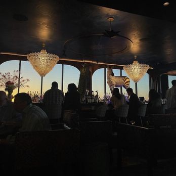 Tiger and Peacock - Cocktail Bars Near Me - Memphis, Tennessee