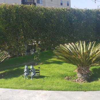 Environmental landscape - Equal trim on hedges - Landscape Architects or Designers Near Me Environmental landscape - Equal trim on hedges - Landscape Architects or Designers Near Me