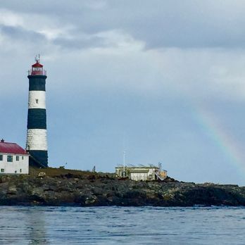 Eagle Wing Tours - Rainbow at Race Rock - Boat Charters Near Me - Victoria, British Columbia Eagle Wing Tours - Rainbow at Race Rock - Boat Charters Near Me - Victoria, British Columbia