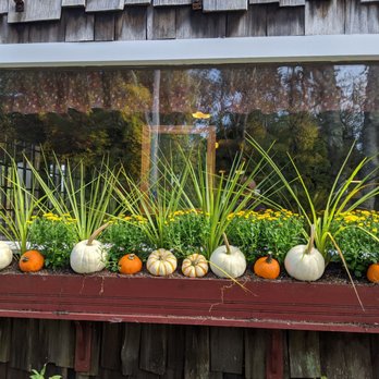 The Breakfast Room - Fall windows!!! - Breakfast & Brunch Near Me - West Dennis, Massachusetts The Breakfast Room - Fall windows!!! - Breakfast & Brunch Near Me - West Dennis, Massachusetts