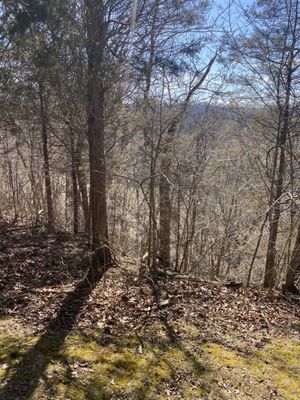 Serpent Mound State Memorial by null
