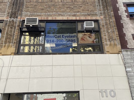 MissCat Eyelash by null