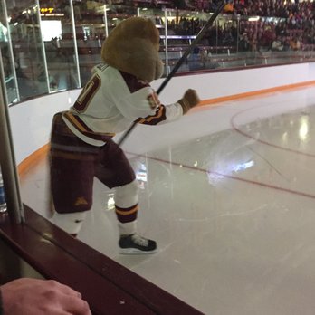 Ridder Arena - Goldy! - Stadiums & Arenas Near Me - Minneapolis, Minnesota