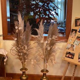 Pampas
