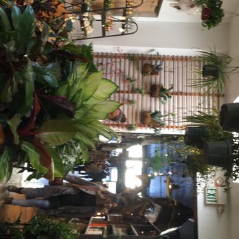 Paxton Gate - Home Decor Near Me - San Francisco, California Paxton Gate - Home Decor Near Me - San Francisco, California